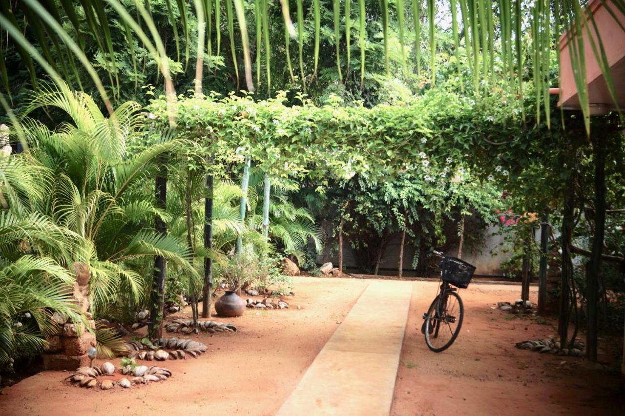 Allens home stay Jaffna Exterior foto